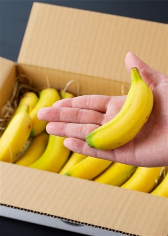 【訳あり】宮崎産バナナ「NEXT716」ミニバナナ 1kg詰め合わせ