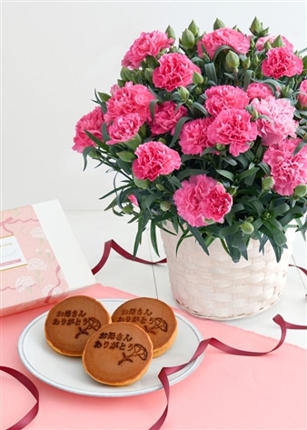 【ホシファーム】カーネーション&徳島なると金時のどら焼き