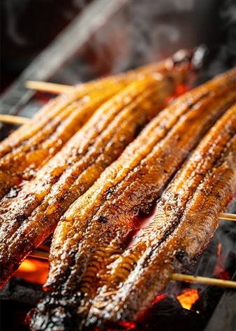 蒲焼きうなぎ 特大4尾(うなぎ蒲焼き(有頭)：約200g×4尾、うなぎ