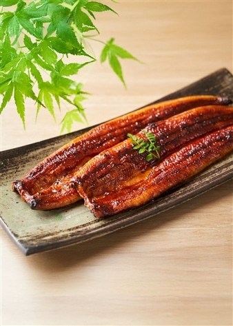 浜松・浜名湖うなぎ特大蒲焼(4人前)