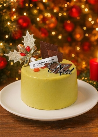 白金ミロワール ピスターシュ クリスマス(3号)