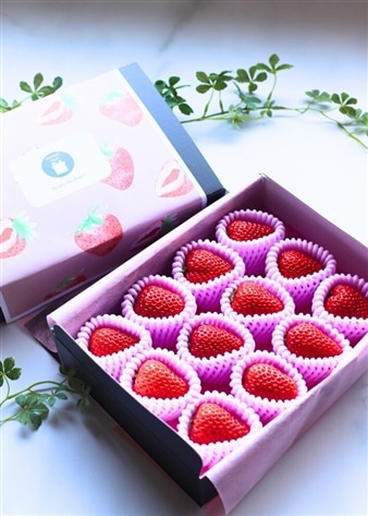 【冬/春限定】朝採れいちご(250g)