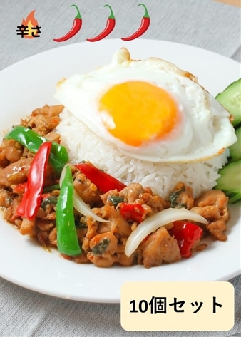 【スースーデリ】ガパオガイ（鶏ひき肉のバジル炒め）HOT SPICY 10個セット