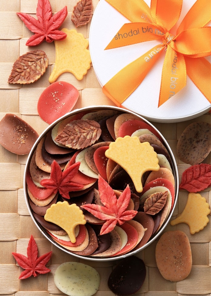 【商品情報】栗にお芋にかぼちゃ…今の季節に食べたいスイーツ