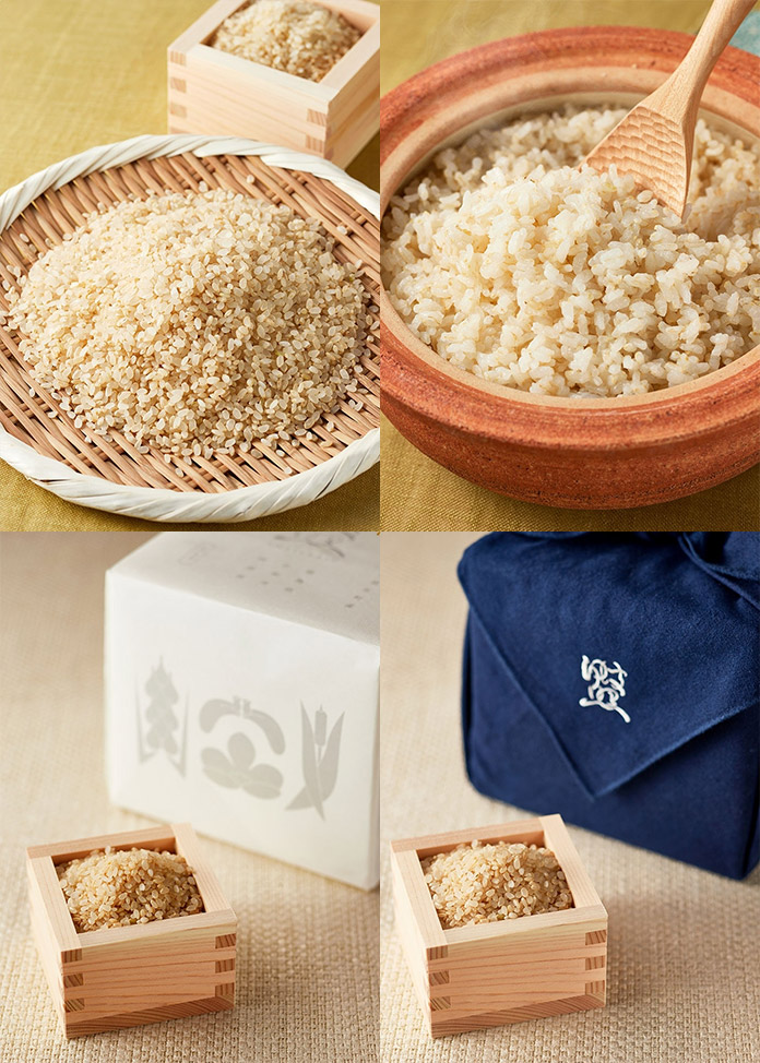 農薬や化学肥料不使用のオーガニック米を手掛ける『日和ファーム』がオープンしました
