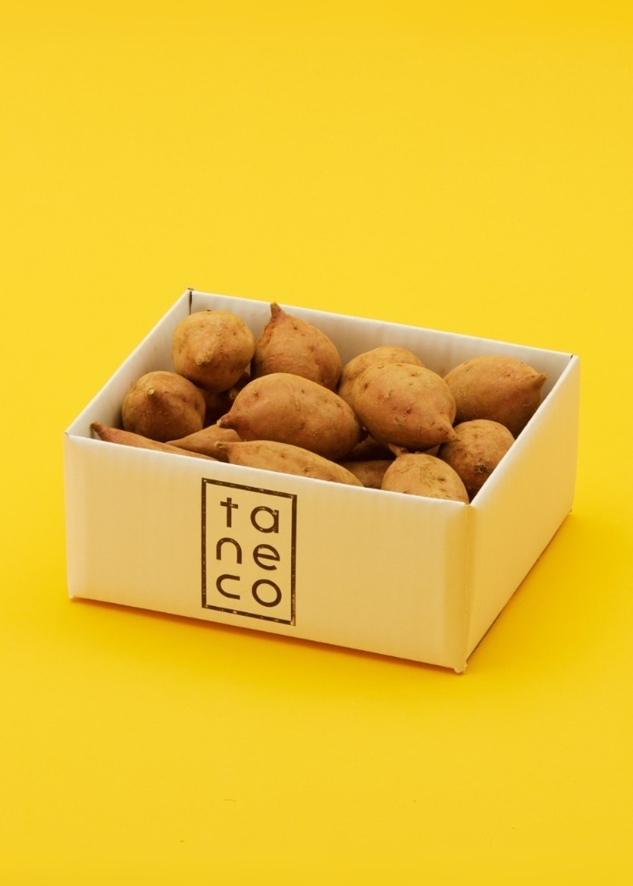 【300円OFFクーポン付】NEW！ねっとりとろける話題の「安納芋」