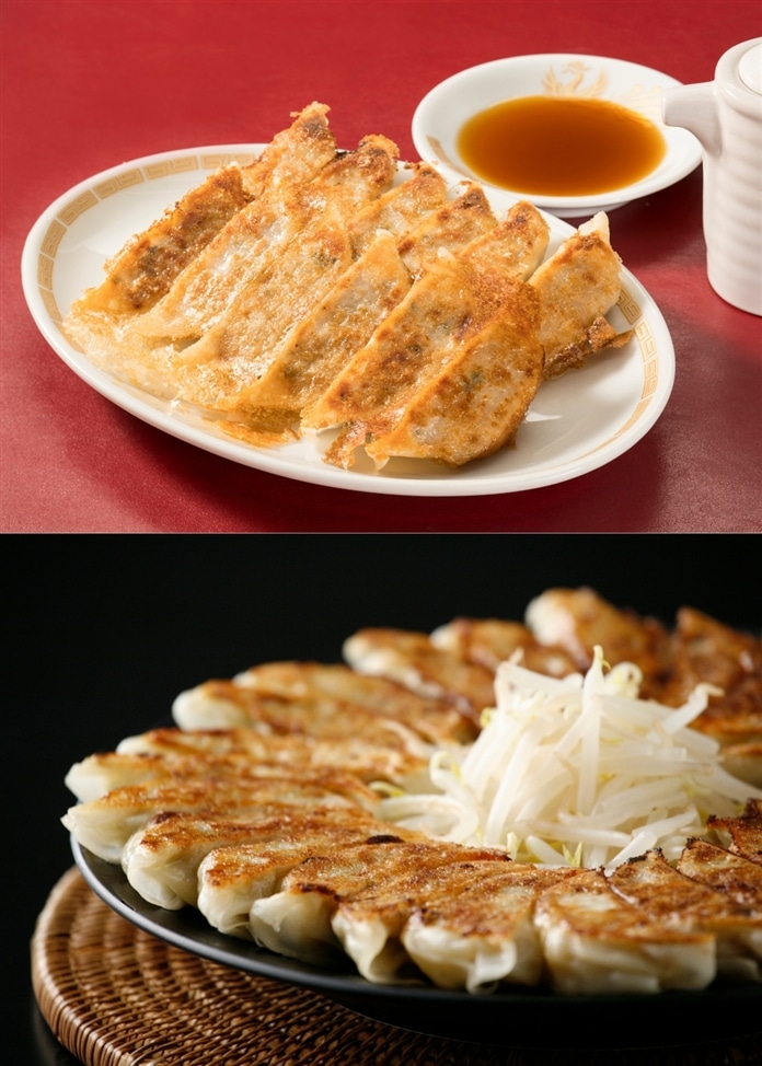 静岡グルメ5選　
～餃子・海鮮・ハンバーグ・茶そば～