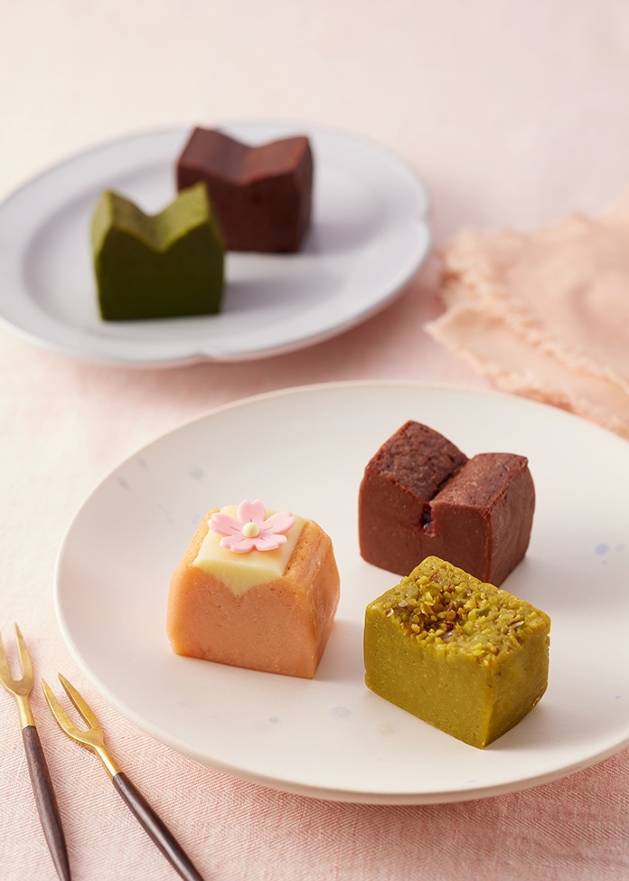 春限定ミニテリーヌ 5種セット