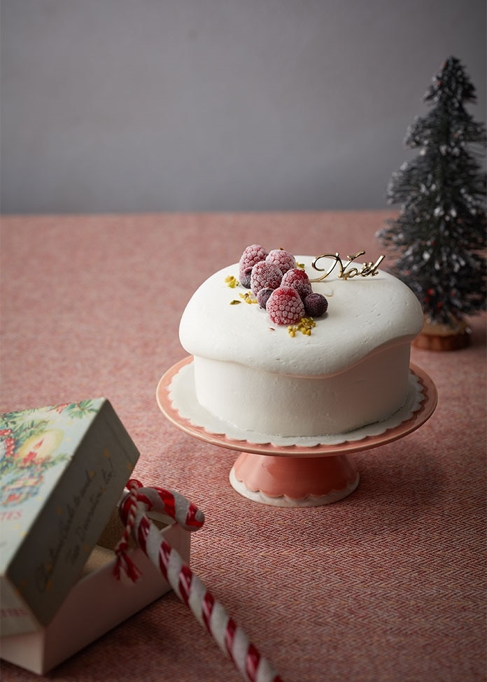 【オンワード・マルシェ限定】クリスマスポッテアイスケーキ