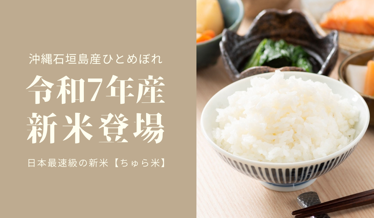 【令和7年産】新米 ちゅら米(沖縄石垣島産ひとめぼれ) 1㎏×3セット
