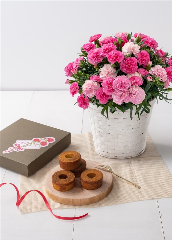 【ホシファーム】カーネーション＆焦がしキャラメルがしみ込んだバーム4個