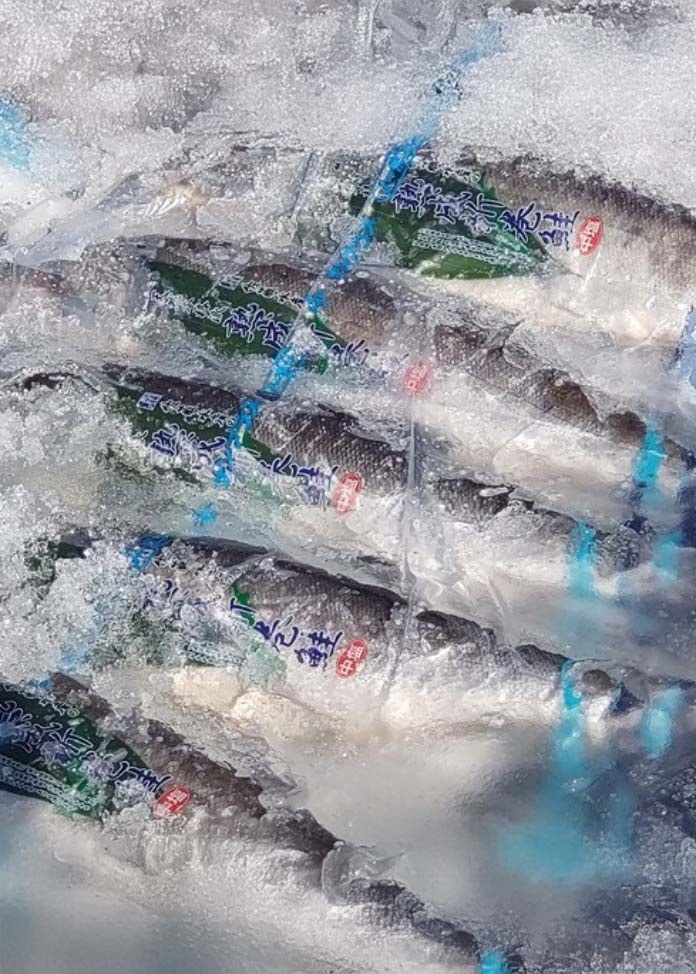 【10点限定】雪中熟成鮭（半身姿切身／1kg）