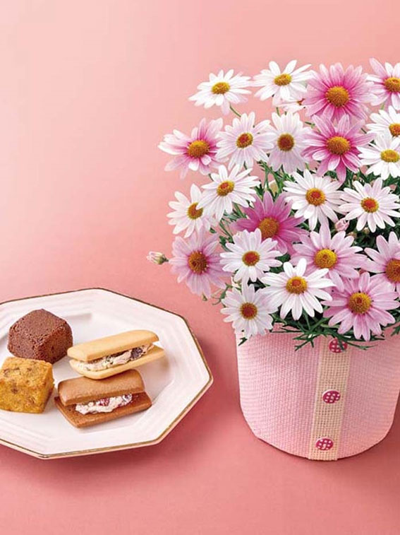 マーガレット（さくらべーる）と「ホテルオークラ」洋菓子詰合せ（母の日カード付き）