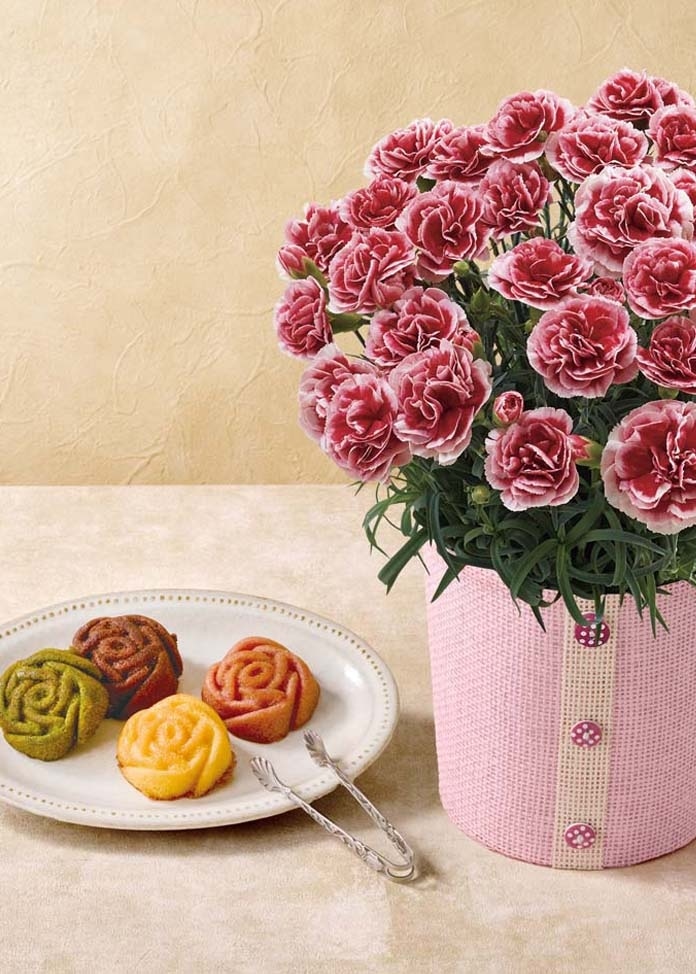 カーネーション（いちごホイップ）と「パティスリーモンシェール」エタニティーローズ（母の日カード付き）