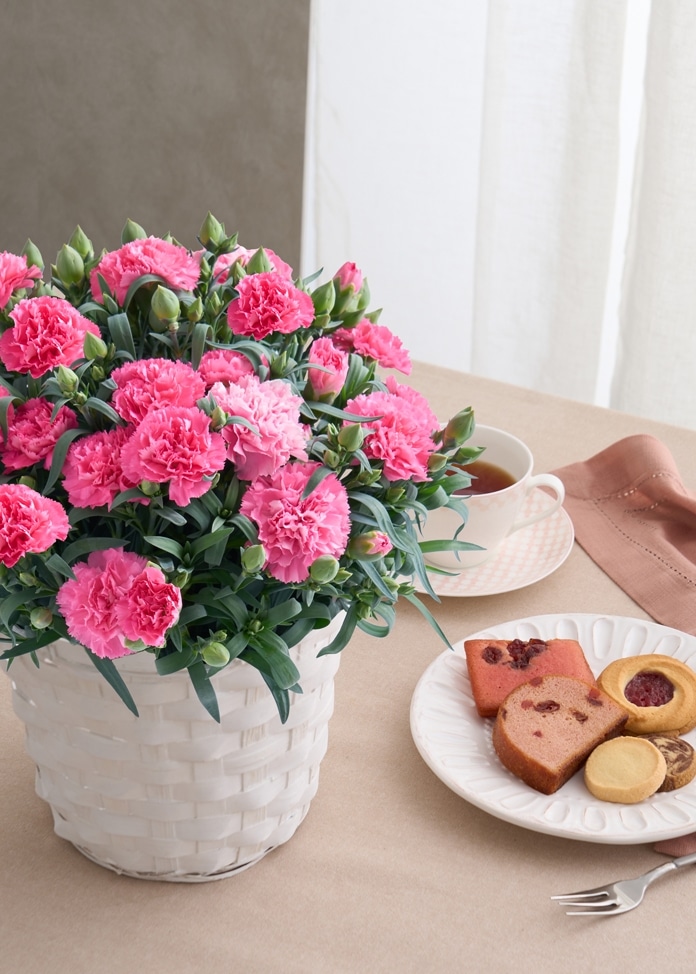 【ホシファーム】カーネーション＆焼菓子アソート5個