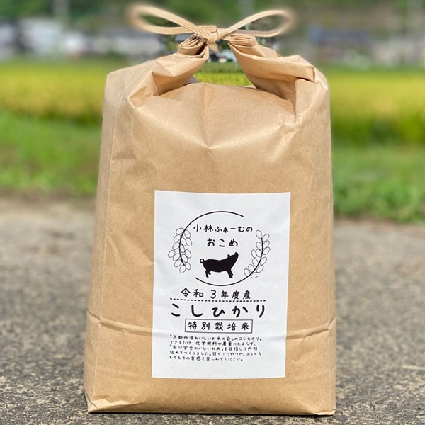 京都丹波コシヒカリ 特別栽培米 5kg