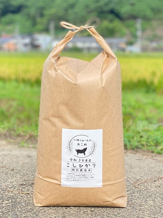 【令和4年産】京都丹波コシヒカリ 特別栽培米 10kg