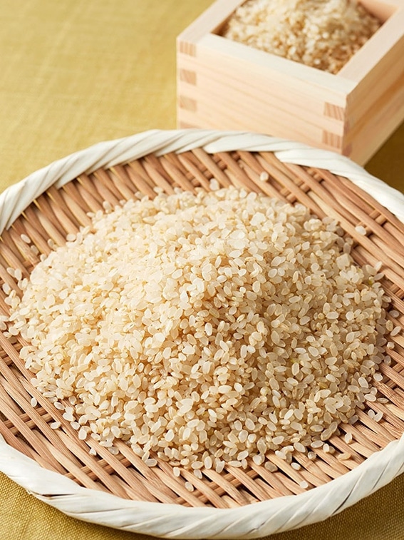 【令和4年産】阿波照 長生米 栽培期間中農薬不使用 胚芽米 5㎏