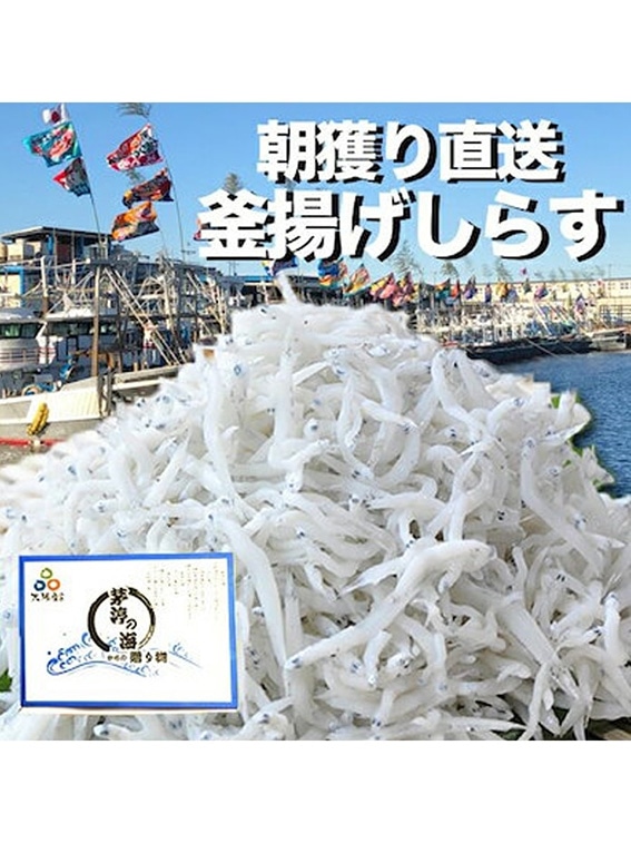 釜揚げしらす 1kg（250g×4）