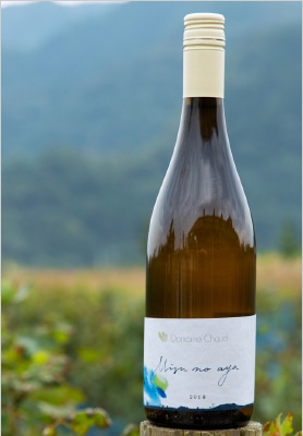 ワイン 017asupi1 甲州ぶどう100%使用】の国産ワイン「Shizen Sparkling Koshu2017