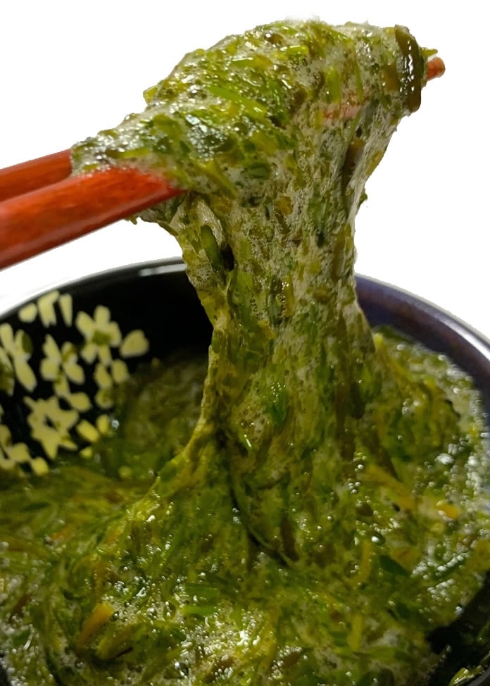 乾燥アカモク20g×2袋